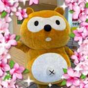 ヒメ日記 2026/02/20 09:10 投稿 甲本キキ(こうもときき) 五十路マダムエクスプレス厚木店(カサブランカグループ)