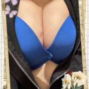 ヒメ日記 2026/05/01 12:16 投稿 甲本キキ(こうもときき) 五十路マダムエクスプレス厚木店(カサブランカグループ)