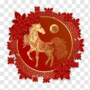 ヒメ日記 2026/01/03 13:47 投稿 らんか 丸妻 新横浜店