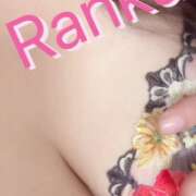 ヒメ日記 2026/02/11 11:04 投稿 らんか 丸妻 新横浜店