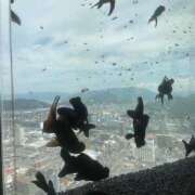 ヒメ日記 2025/09/09 10:47 投稿 たろ しろうとCollection