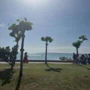 ヒメ日記 2025/10/12 15:27 投稿 たろ しろうとCollection