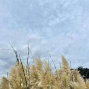 ヒメ日記 2025/10/29 11:57 投稿 たろ しろうとCollection