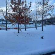 たろ お久しぶりです🥰 しろうとCollection