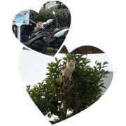 ヒメ日記 2025/07/27 20:05 投稿 ゆうり 奥様さくら梅田店