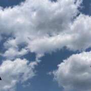 ヒメ日記 2025/05/05 13:35 投稿 ゆかり先生 女教師