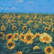 ヒメ日記 2025/08/20 10:25 投稿 ゆかり先生 女教師