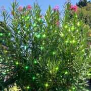 ヒメ日記 2025/08/24 13:15 投稿 ゆかり先生 女教師