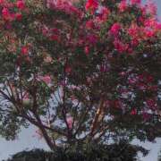 ヒメ日記 2025/08/27 12:25 投稿 ゆかり先生 女教師