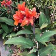 ヒメ日記 2025/08/28 16:25 投稿 ゆかり先生 女教師