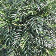 ヒメ日記 2025/08/29 13:05 投稿 ゆかり先生 女教師