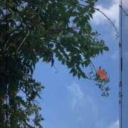 ヒメ日記 2025/09/01 15:25 投稿 ゆかり先生 女教師