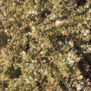 ヒメ日記 2025/09/02 12:55 投稿 ゆかり先生 女教師