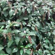 ヒメ日記 2025/09/05 12:45 投稿 ゆかり先生 女教師