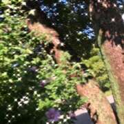 ヒメ日記 2025/09/06 11:35 投稿 ゆかり先生 女教師