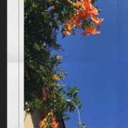 ヒメ日記 2025/09/06 15:45 投稿 ゆかり先生 女教師