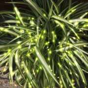 ヒメ日記 2025/09/06 20:26 投稿 ゆかり先生 女教師