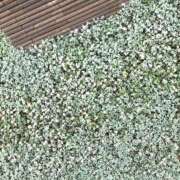 ヒメ日記 2025/09/11 12:25 投稿 ゆかり先生 女教師