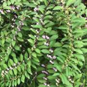 ヒメ日記 2025/09/11 17:05 投稿 ゆかり先生 女教師