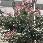 ヒメ日記 2025/09/15 17:35 投稿 ゆかり先生 女教師