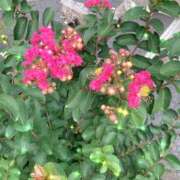 ヒメ日記 2025/09/16 09:35 投稿 ゆかり先生 女教師