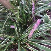 ヒメ日記 2025/09/16 13:45 投稿 ゆかり先生 女教師