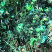 ヒメ日記 2025/09/21 11:35 投稿 ゆかり先生 女教師