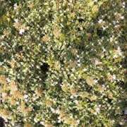 ヒメ日記 2025/09/27 10:55 投稿 ゆかり先生 女教師