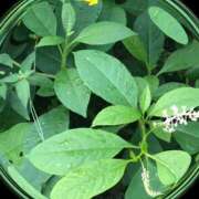 ヒメ日記 2025/10/05 17:45 投稿 ゆかり先生 女教師