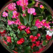 ゆかり先生 明日 女教師