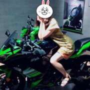 ヒメ日記 2025/05/03 10:00 投稿 すみれ influence（インフルエンス）