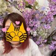 ヒメ日記 2025/05/17 17:53 投稿 すみれ influence（インフルエンス）