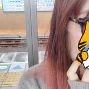 ヒメ日記 2025/05/27 09:48 投稿 すみれ influence（インフルエンス）