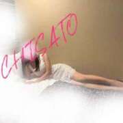 ヒメ日記 2025/10/28 22:42 投稿 藤咲 知聖 大阪貴楼館