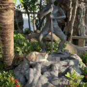 ひびき 春✨✨🌸 神田ハンドメイド