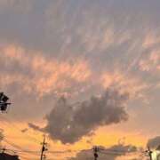 ひびき 今日います🙂‍↕️💞 神田ハンドメイド