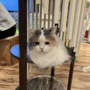 ひびき ありがとうございました(^-^) 神田ハンドメイド