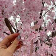 ヒメ日記 2025/04/25 11:28 投稿 せら クラブハート