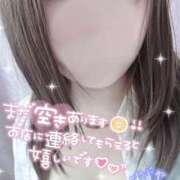 ヒメ日記 2025/04/24 11:54 投稿 すずね ちゃんこ大阪十三