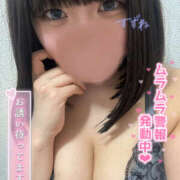 ヒメ日記 2025/04/25 14:44 投稿 すずね ちゃんこ大阪十三