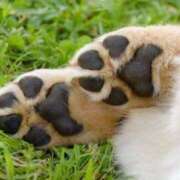 ヒメ日記 2025/04/29 14:17 投稿 松田　みさこ しこたま奥様 札幌店