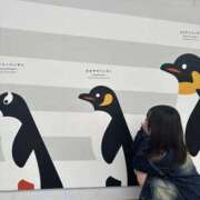 ヒメ日記 2025/05/27 22:14 投稿 桜庭　みら つくば風俗エキスプレス   ヌキ坂46