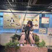 ヒメ日記 2025/05/28 15:15 投稿 桜庭　みら つくば風俗エキスプレス   ヌキ坂46