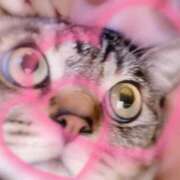 ヒメ日記 2025/05/02 14:04 投稿 うらら 小岩人妻花壇