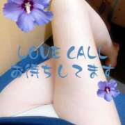 ヒメ日記 2025/05/18 12:17 投稿 うらら 小岩人妻花壇