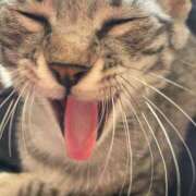 ヒメ日記 2025/09/03 10:49 投稿 うらら 小岩人妻花壇