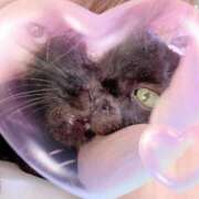 ヒメ日記 2025/09/30 23:48 投稿 うらら 小岩人妻花壇