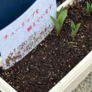 ヒメ日記 2026/03/15 14:02 投稿 うらら 小岩人妻花壇