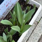 ヒメ日記 2026/03/28 14:08 投稿 うらら 小岩人妻花壇