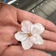 ヒメ日記 2026/03/31 15:30 投稿 うらら 小岩人妻花壇